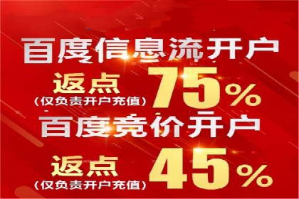 案例剖析：百度SEO推广公司如何助力企业飞速发展